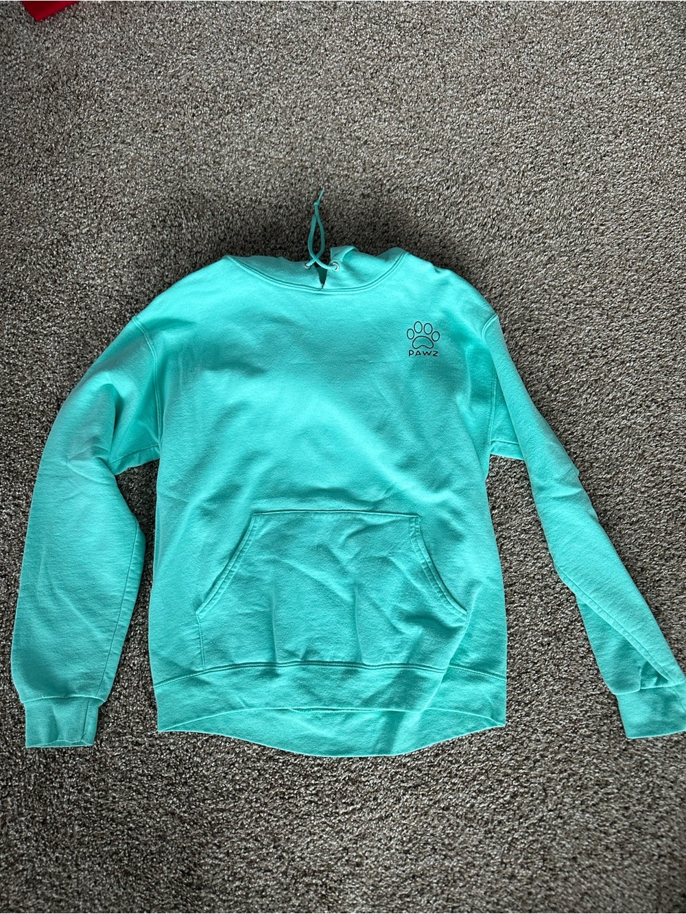 PAWZ Mint Green Crewneck Sweatshirt with Paw Logo
